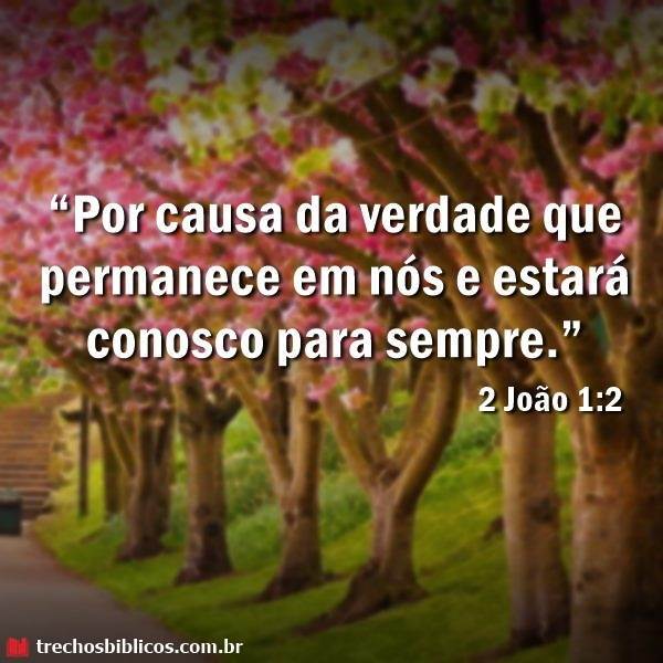 2 João 1:2
