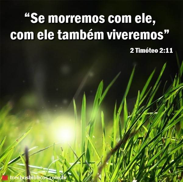 2 Timóteo 2:11