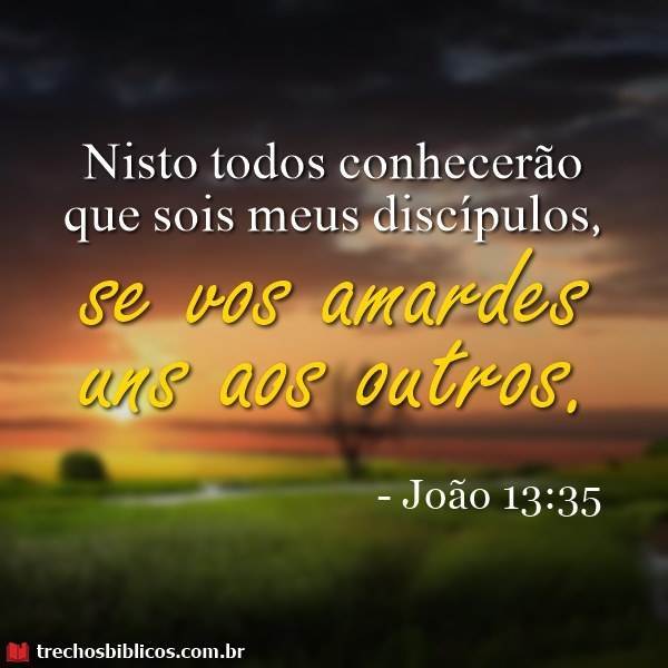 João 13:35