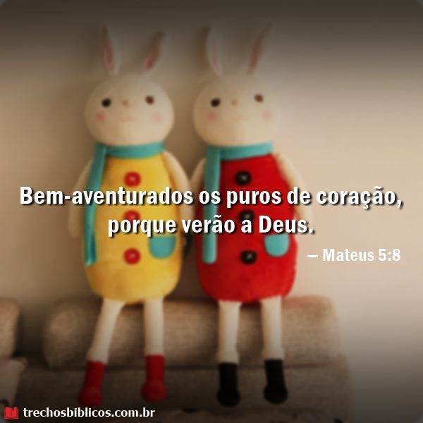 Mateus 5:8