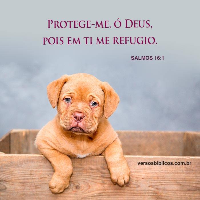 Protege-me, ó Deus