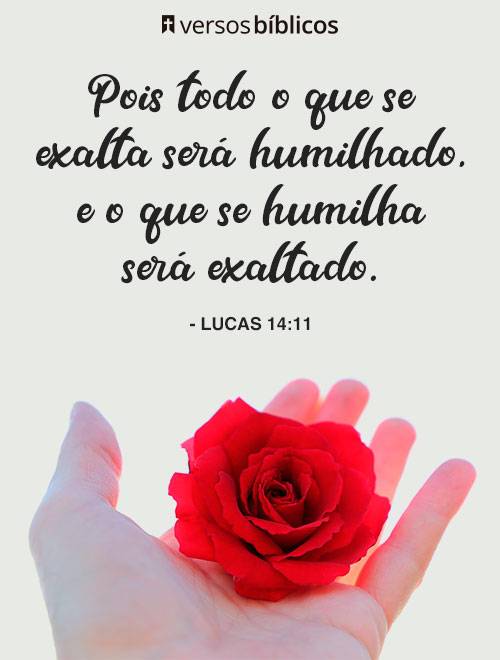 Versículos de Lucas cheios do Amor de Deus