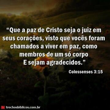 Colossenses 3:15