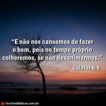 Gálatas 6:9